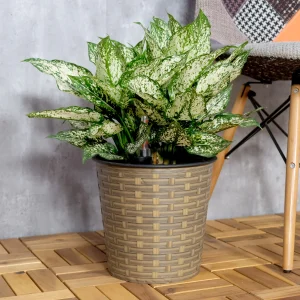10.2" Self-watering Wicker Decor Planter